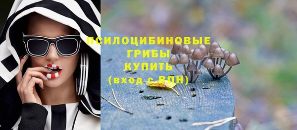 хмурый Богородск