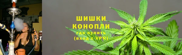 хмурый Богородск