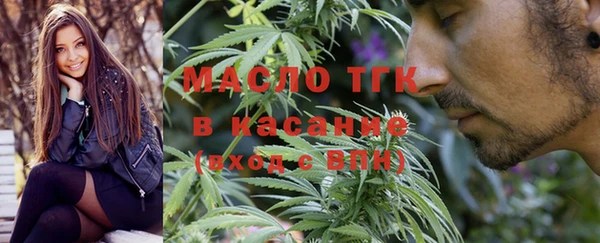 метадон Богданович