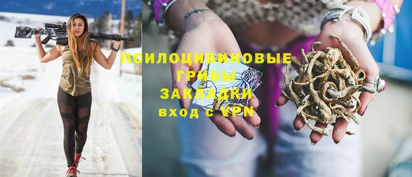 таблы Богородицк