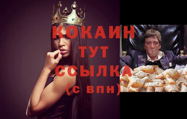 метадон Богданович
