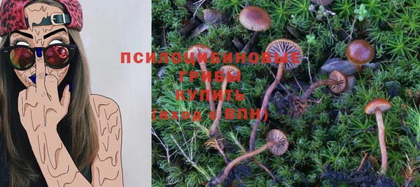 гашик Армянск